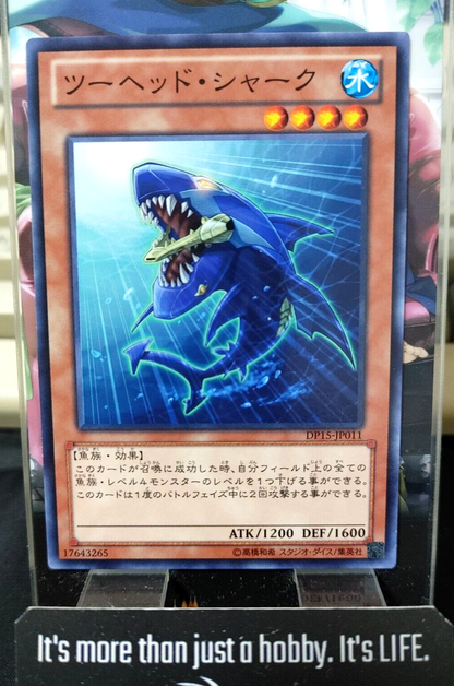 47424795