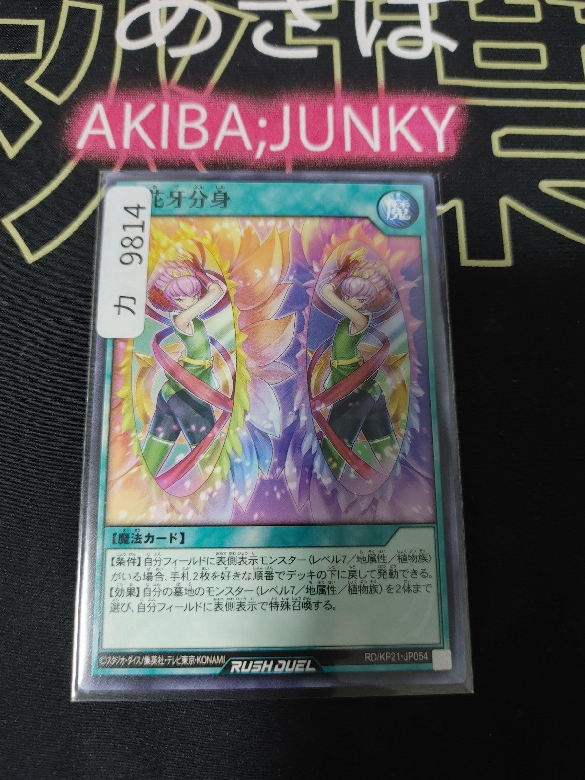 47435377