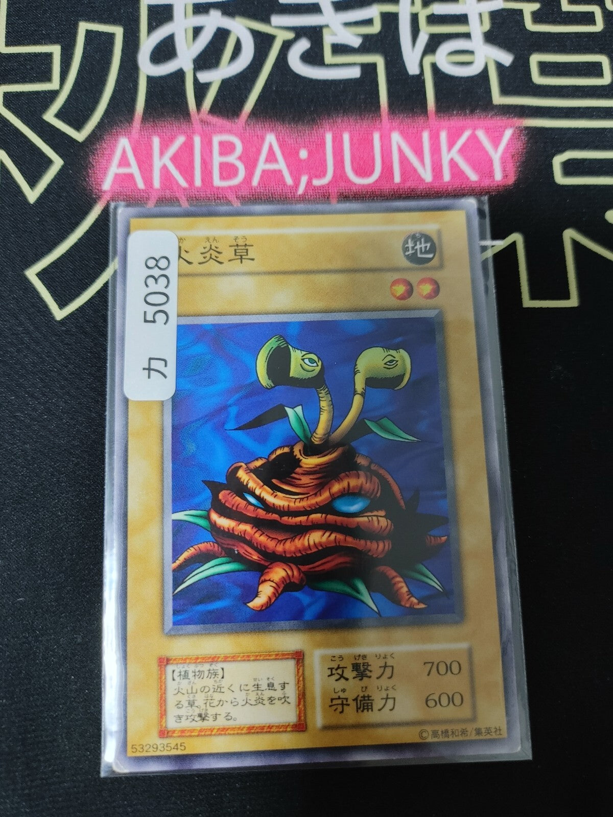 47431342