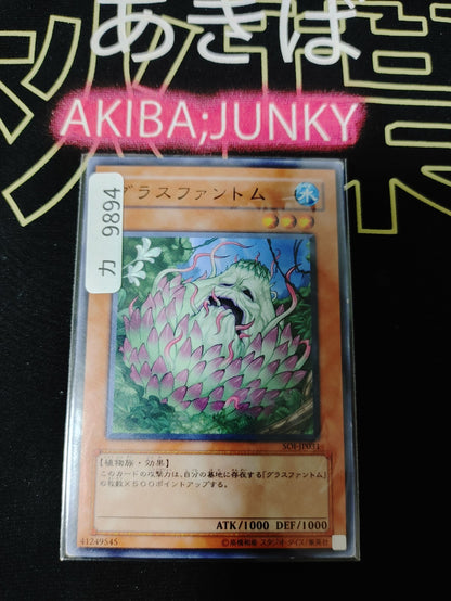 47427445
