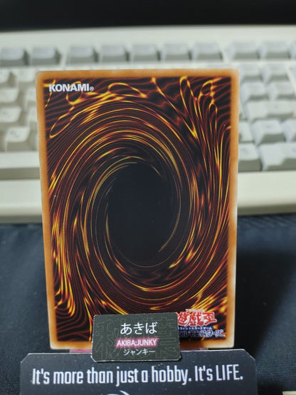 Pendulum Paradox Yugioh EXFO-JP061 Rare Konami OCG JAPAN