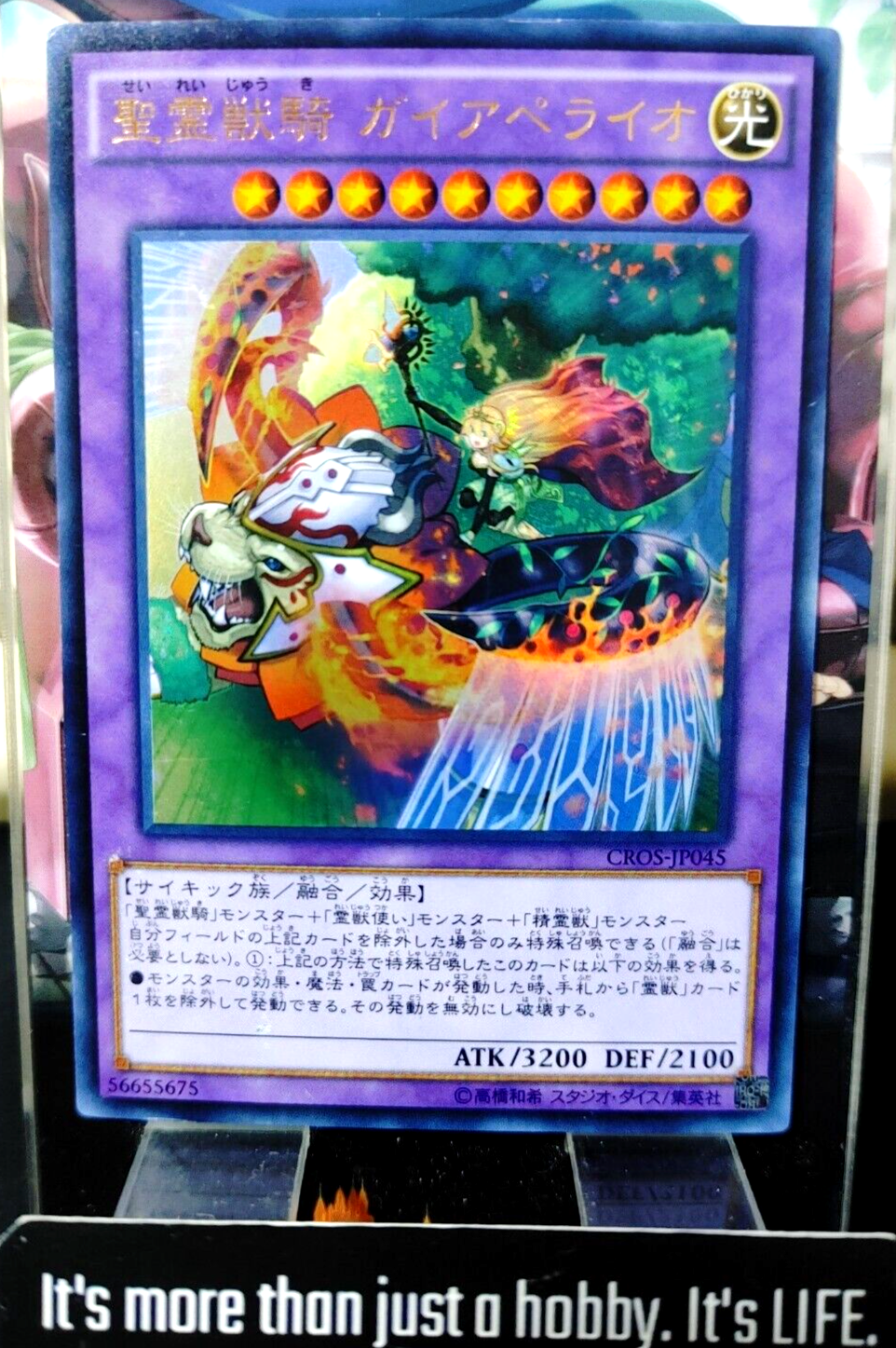 47431660