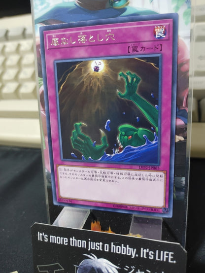 47431545