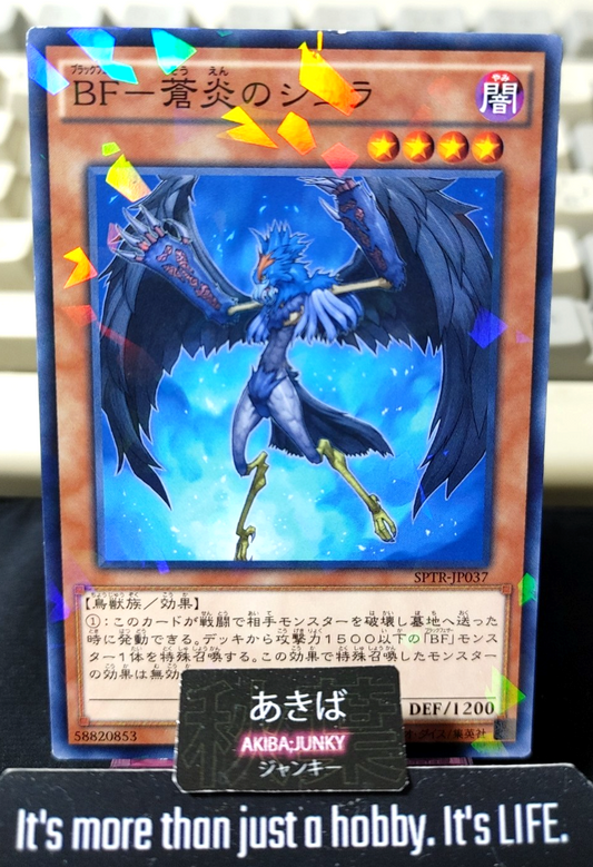 Blackwing - Shura the Blue Flame Yugioh SPTR-JP037 Parallel Rare OCG JAPAN