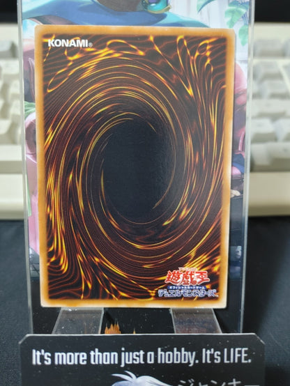 47433070