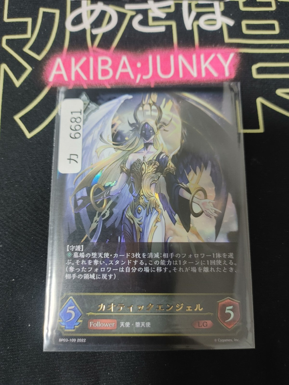 47425019
