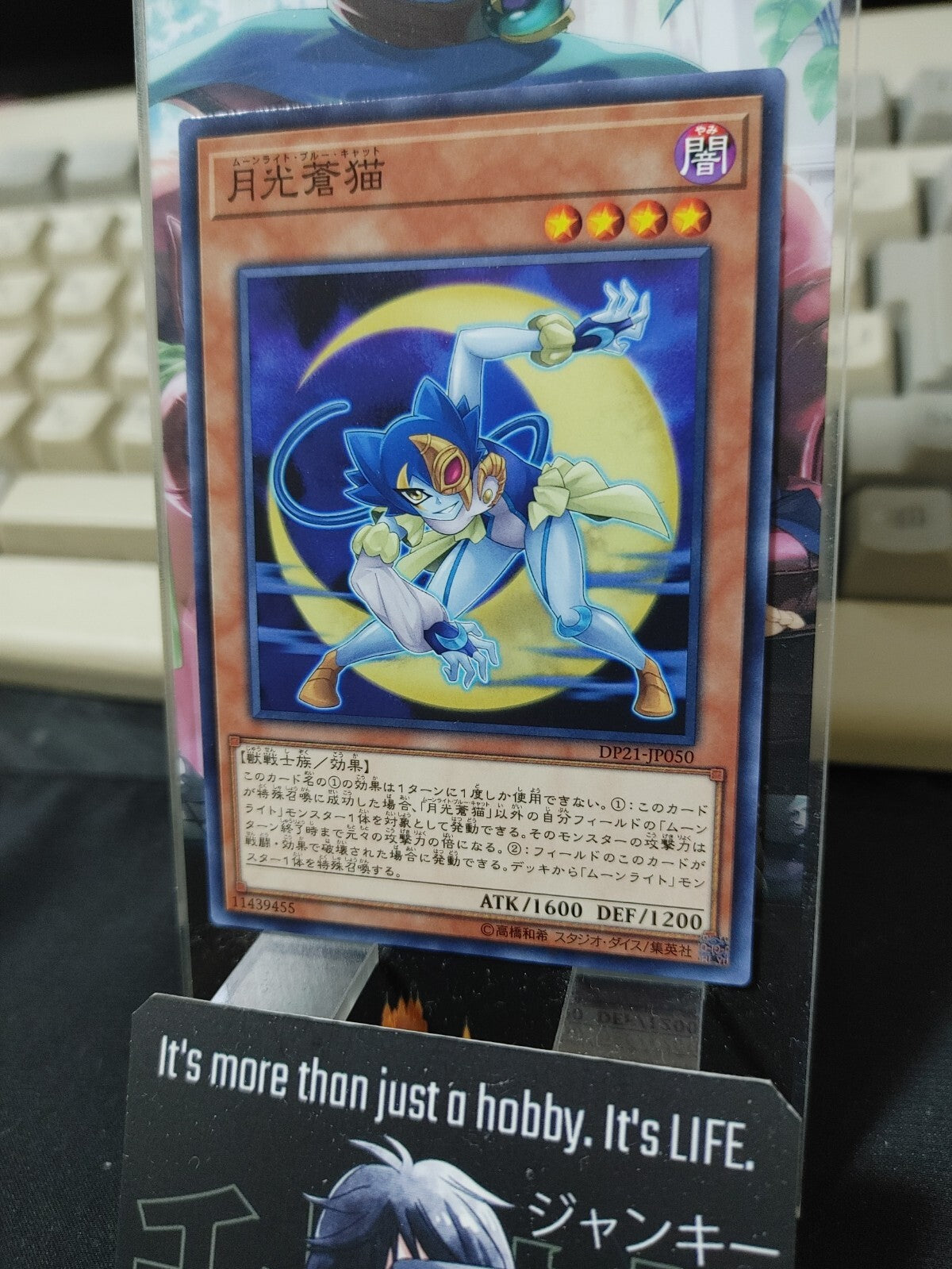 47424805