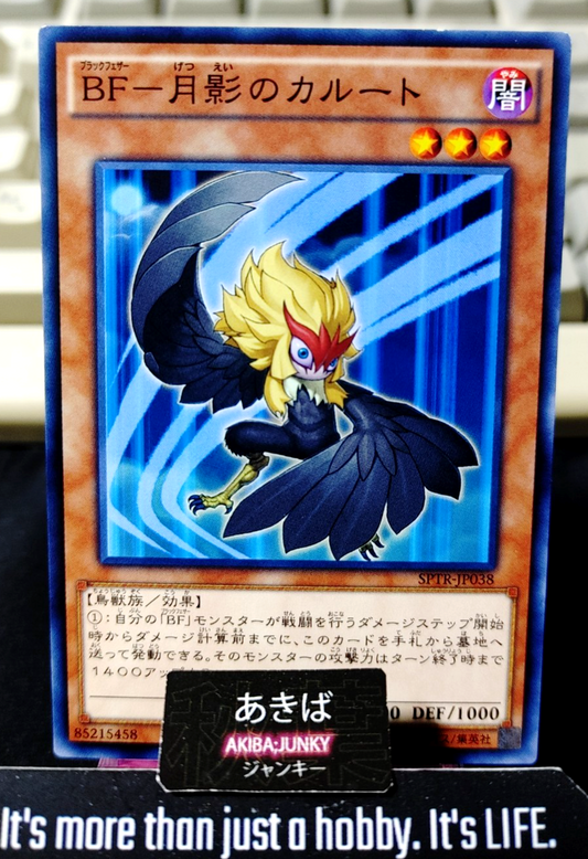 Blackwing - Kalut the Moon Shadow Yugioh SPTR-JP038 Yu-Gi-Oh Konami OCG JAPAN