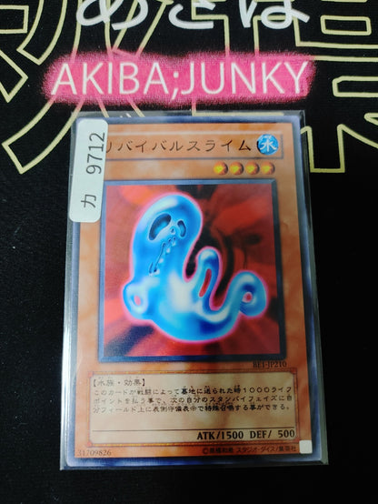 47425540