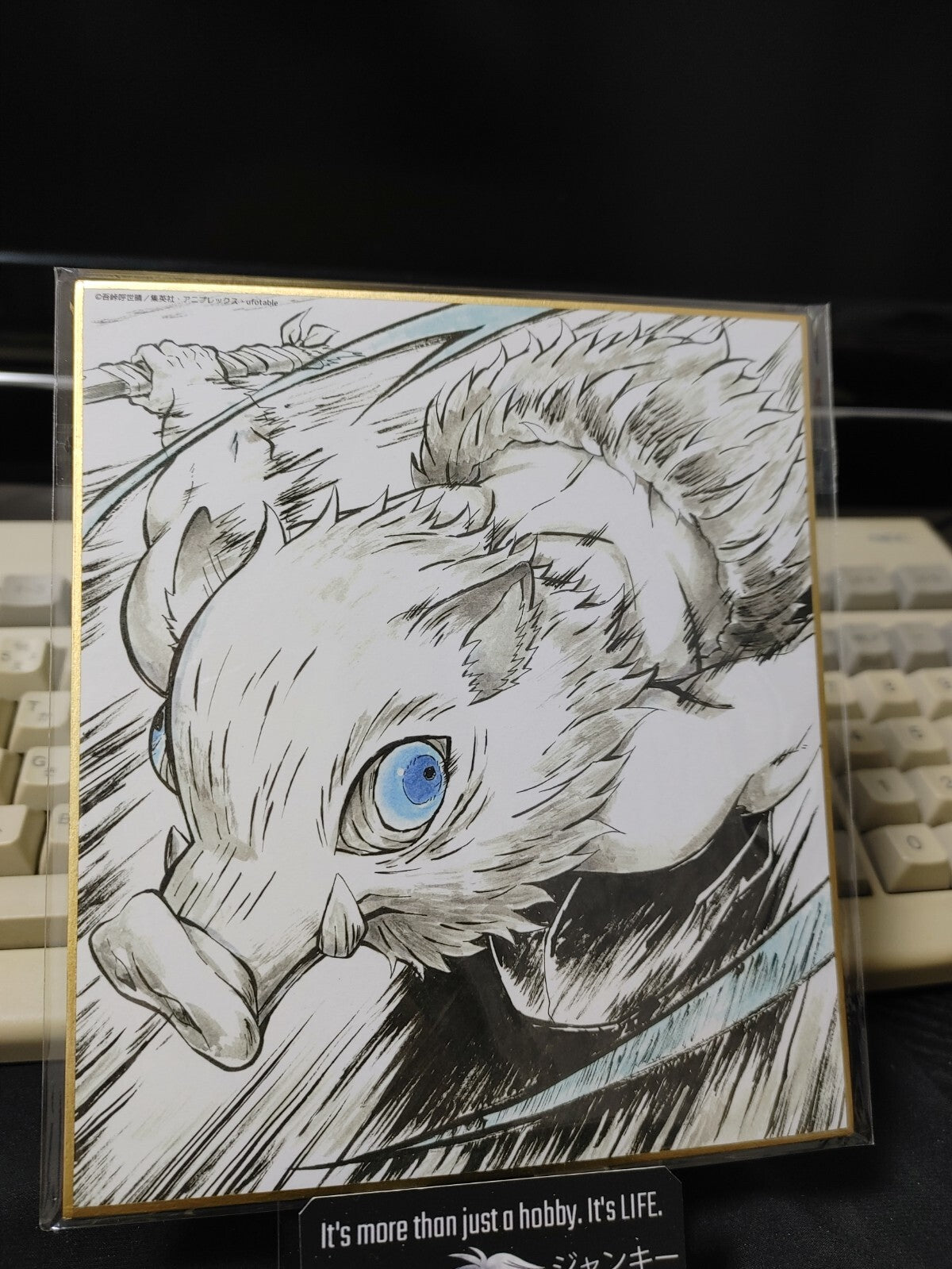 47423202