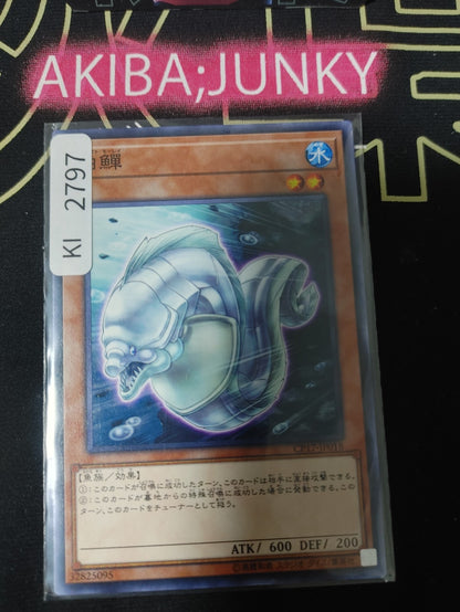 47430432