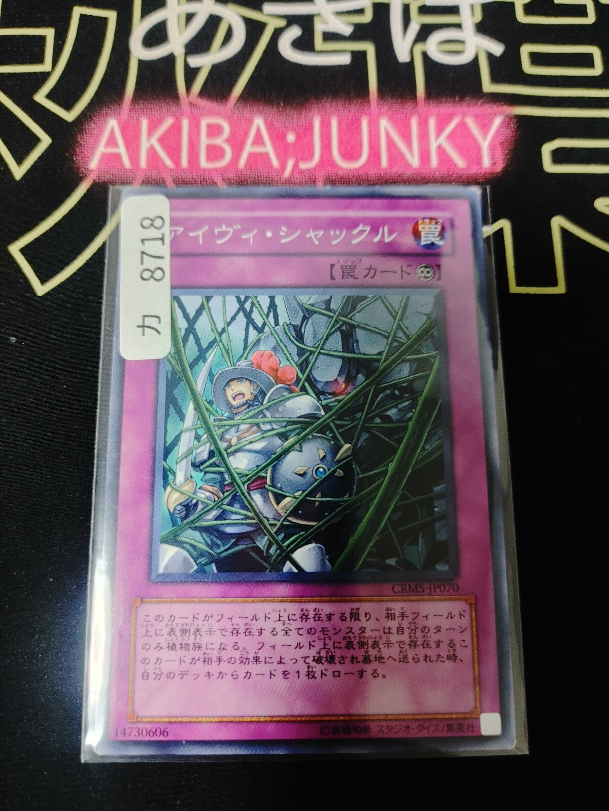 47424428