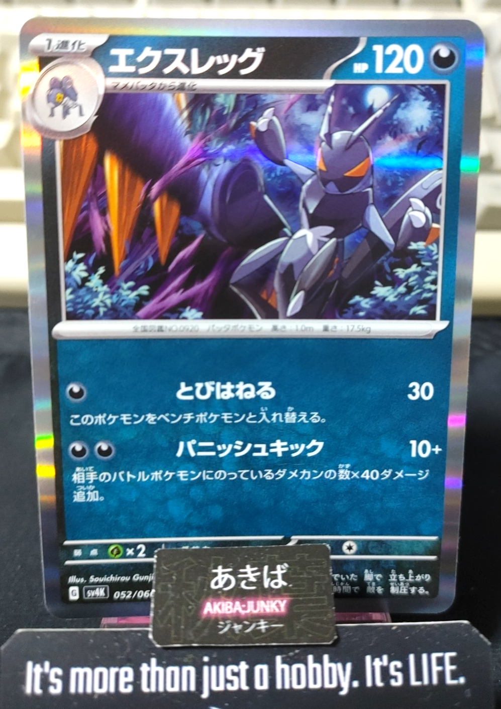 Pokemon Lokix SV4K 052/066 R Card Japanese JAPAN