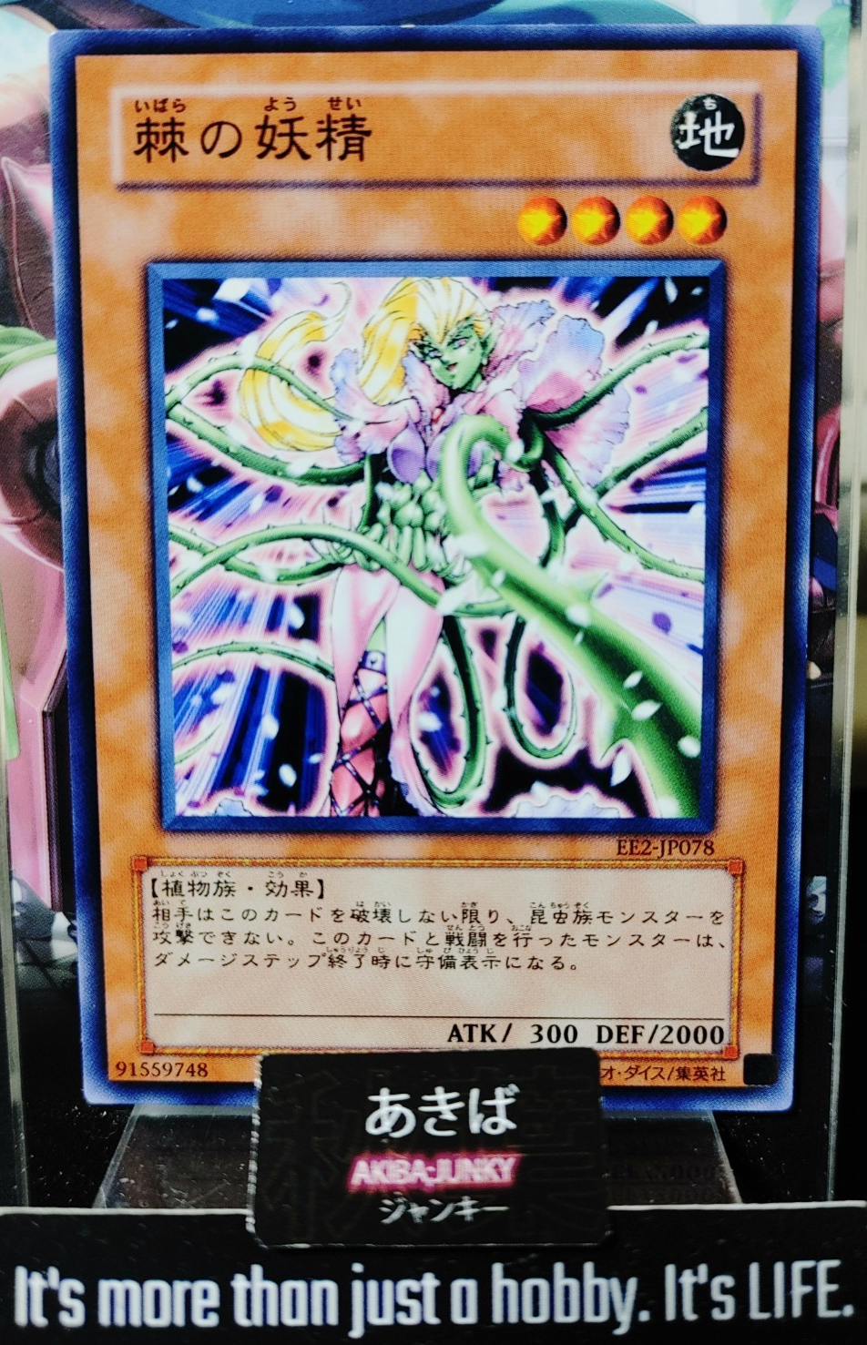 47428745