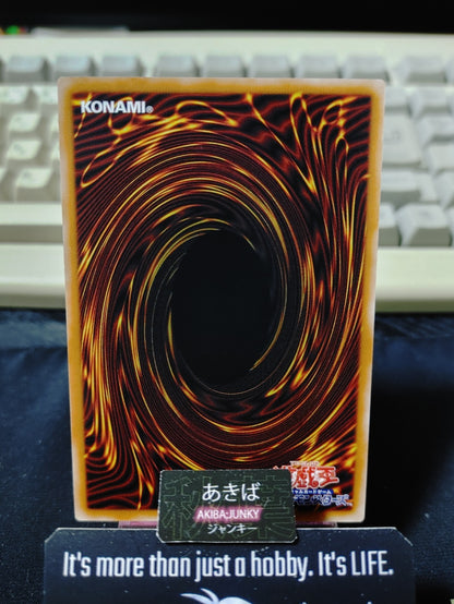 47450057
