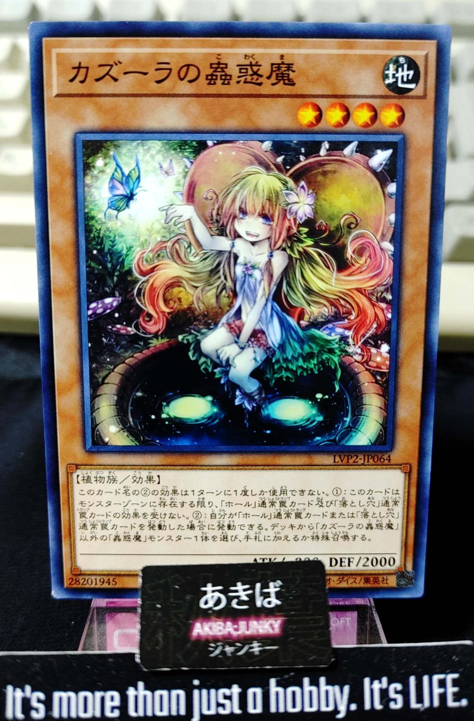 47434303