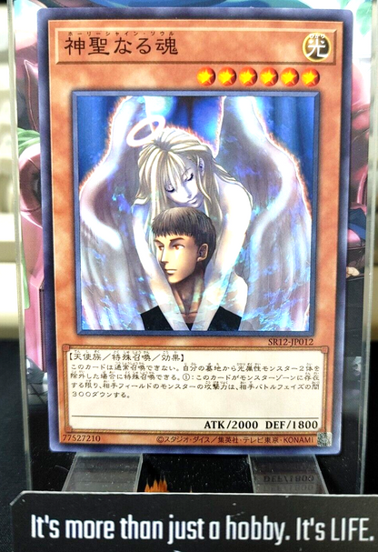 47436353