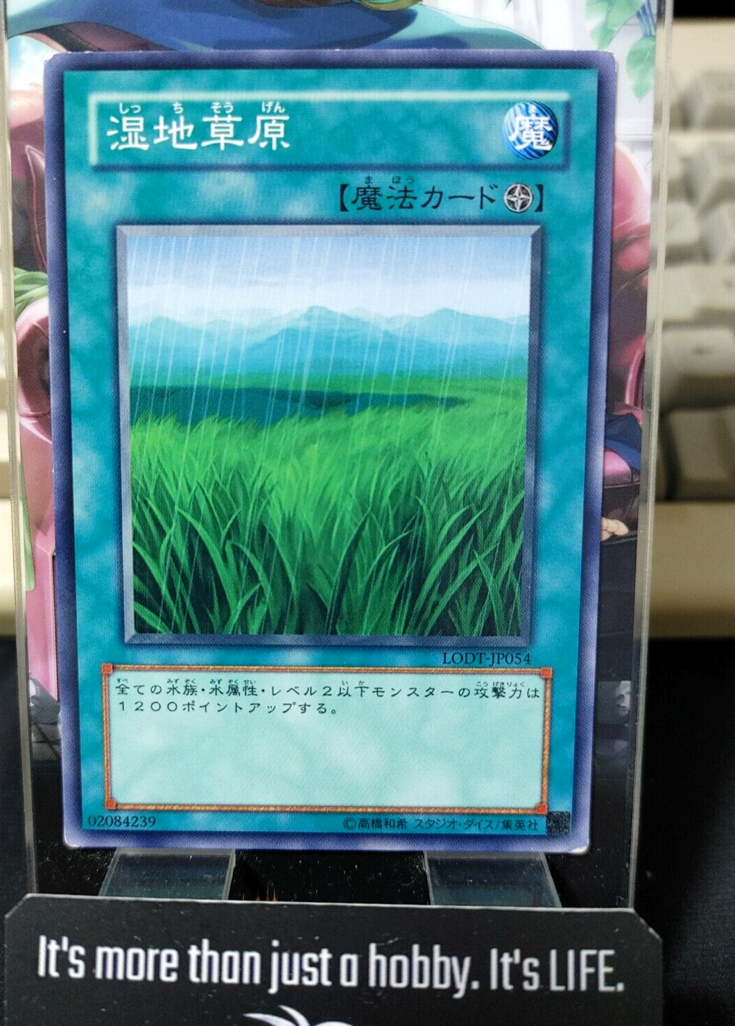 47434759