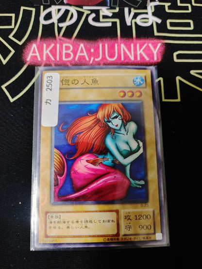 47431258
