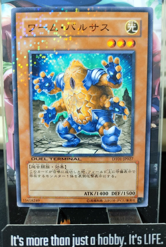 47430053