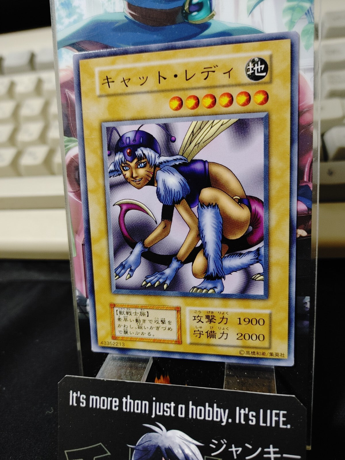 47436423