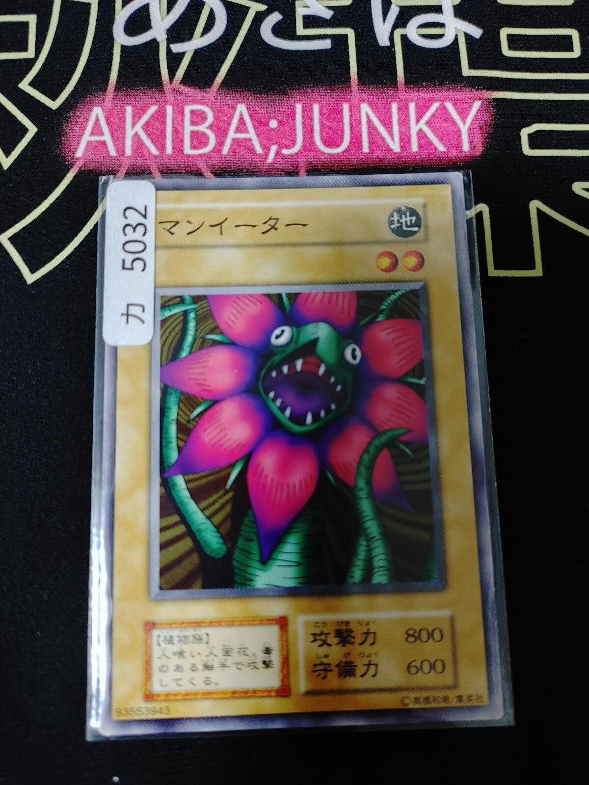 47431023