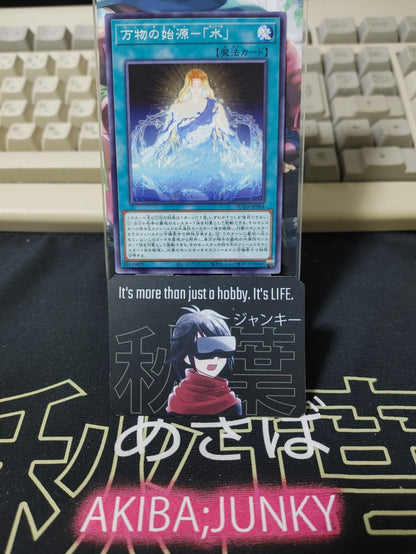 47437029