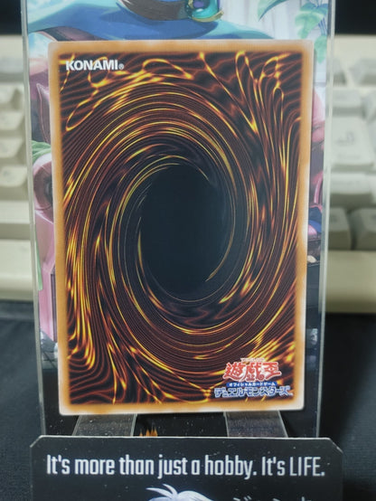 47428002