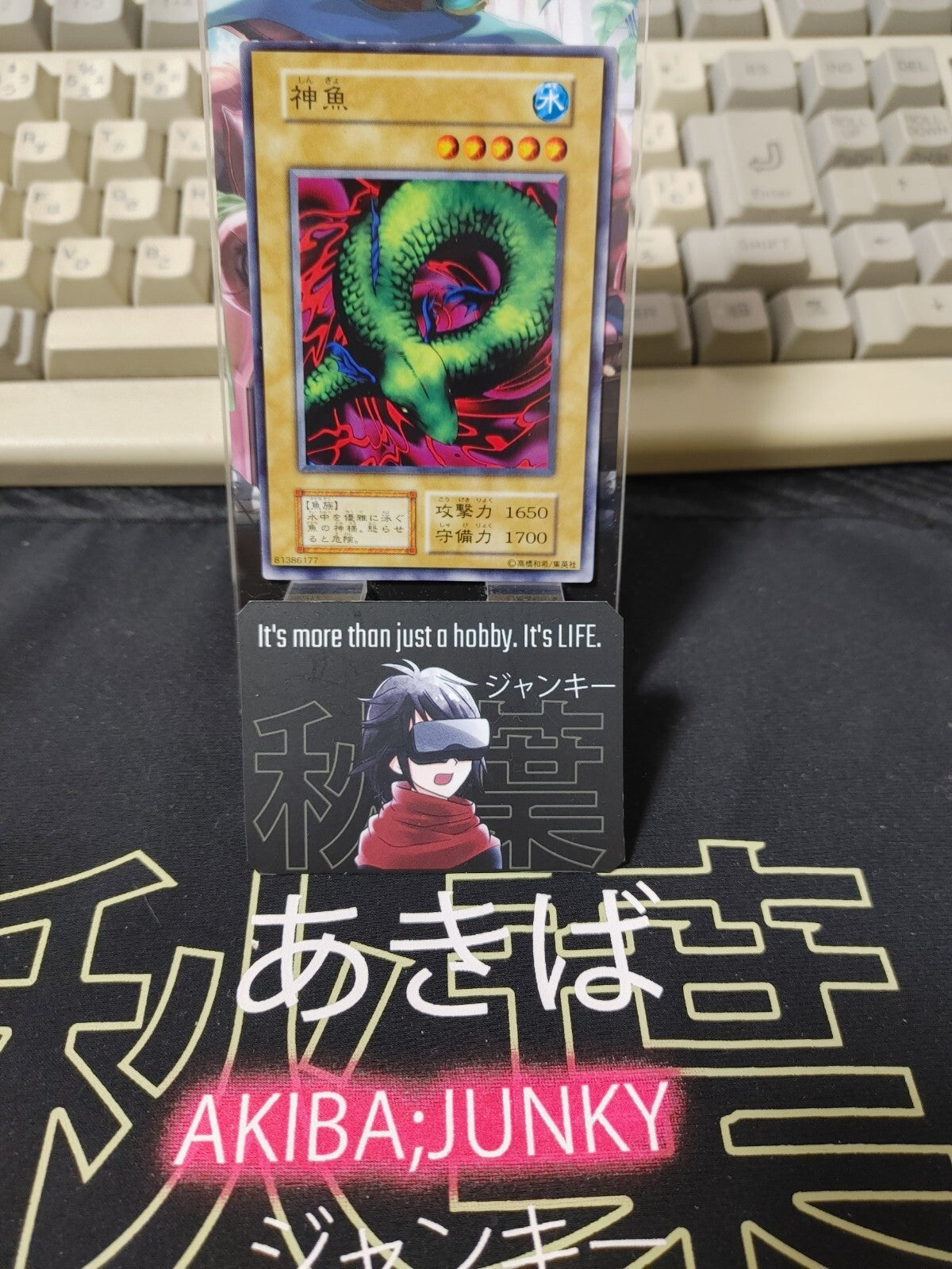 47431678
