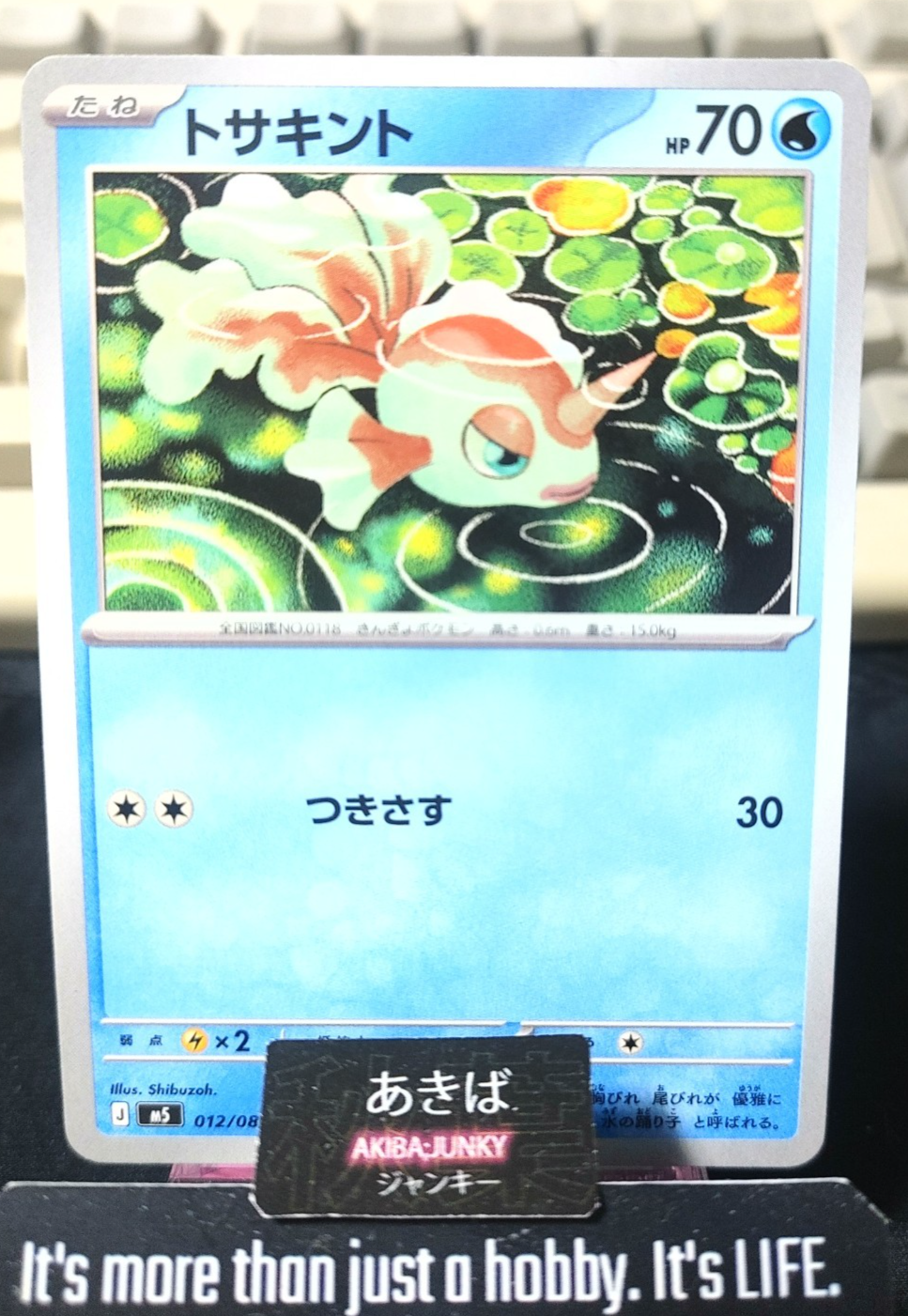 Pokemon Goldeen M5 012/081 Card Japanese JAPAN