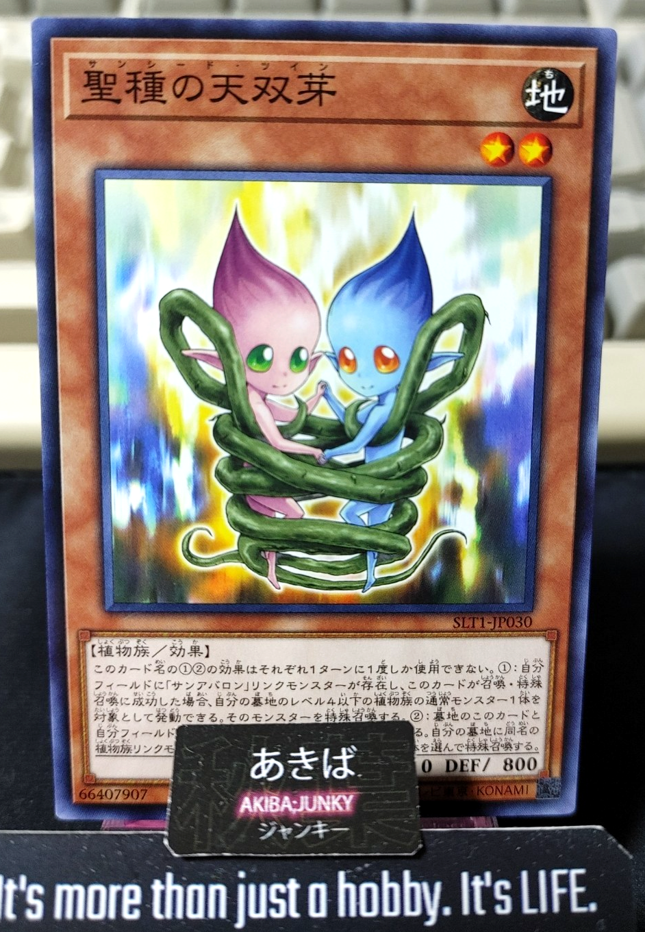 Sunseed Twin Yugioh SLT1-JP030 Yu-Gi-Oh Konami OCG JAPAN