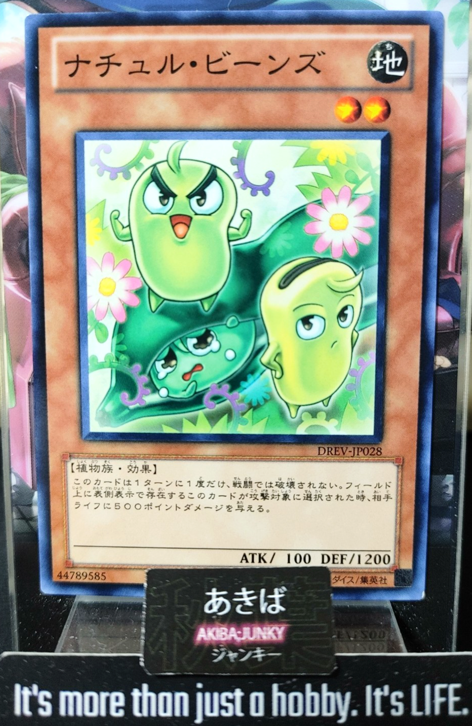 47425156
