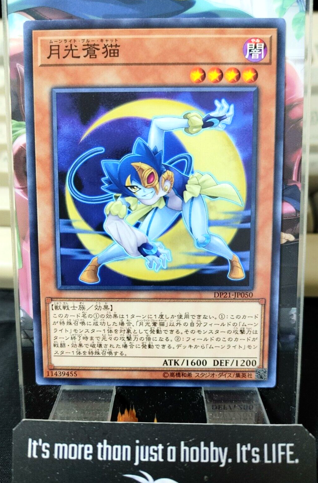 47424805