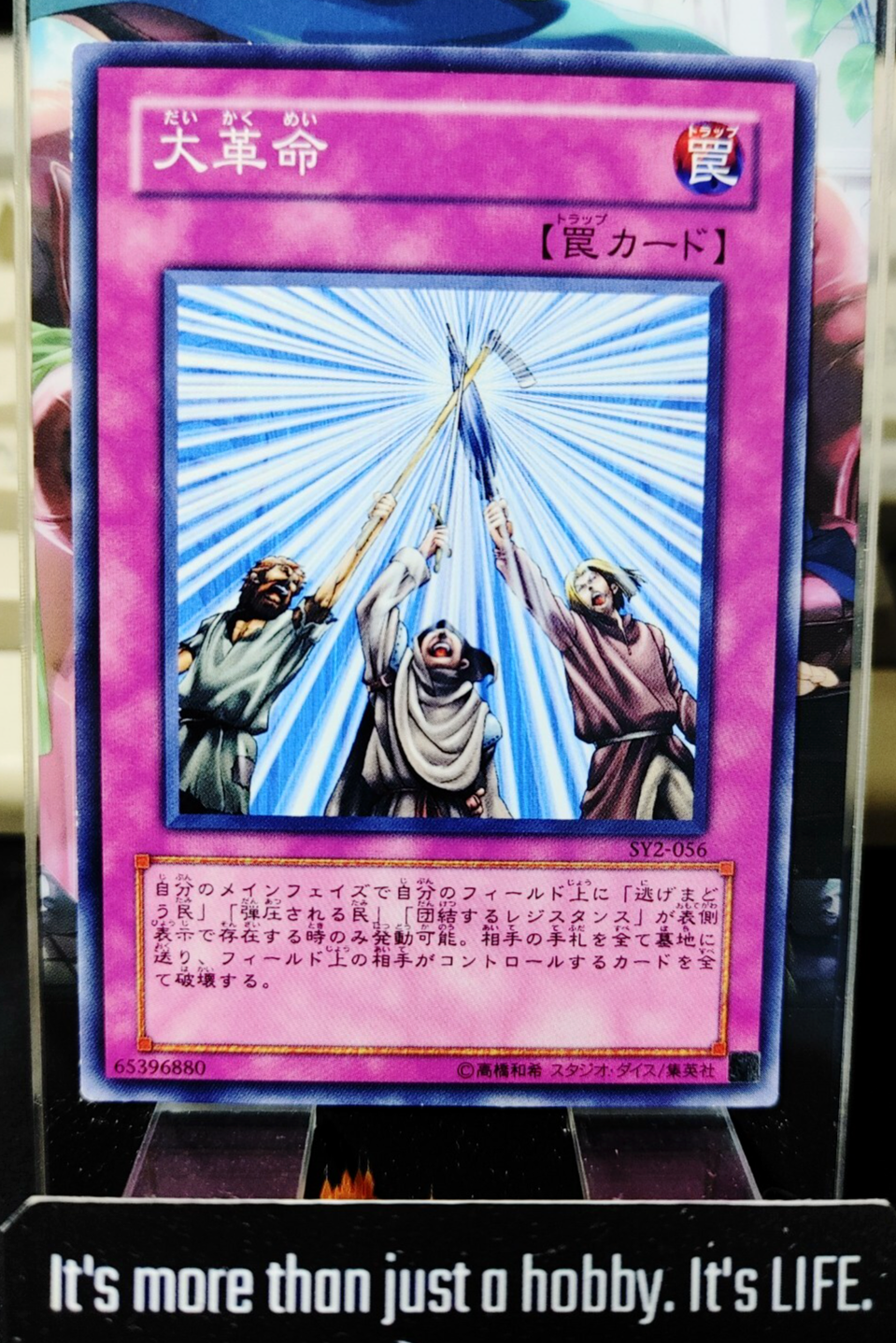 47425982
