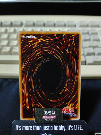 Kshatri-La Shangri-La Yugioh DABL-JP045 Rare Konami OCG JAPAN