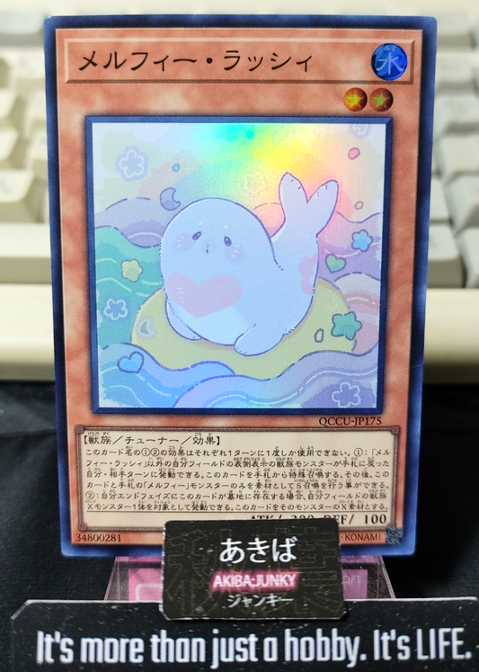 47431303