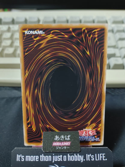47450063