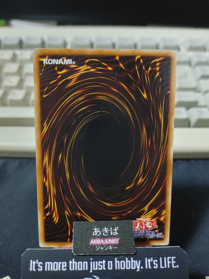 Naturia Butterfly Yugioh DT07-JP029 Rare Holo Konami OCG JAPAN