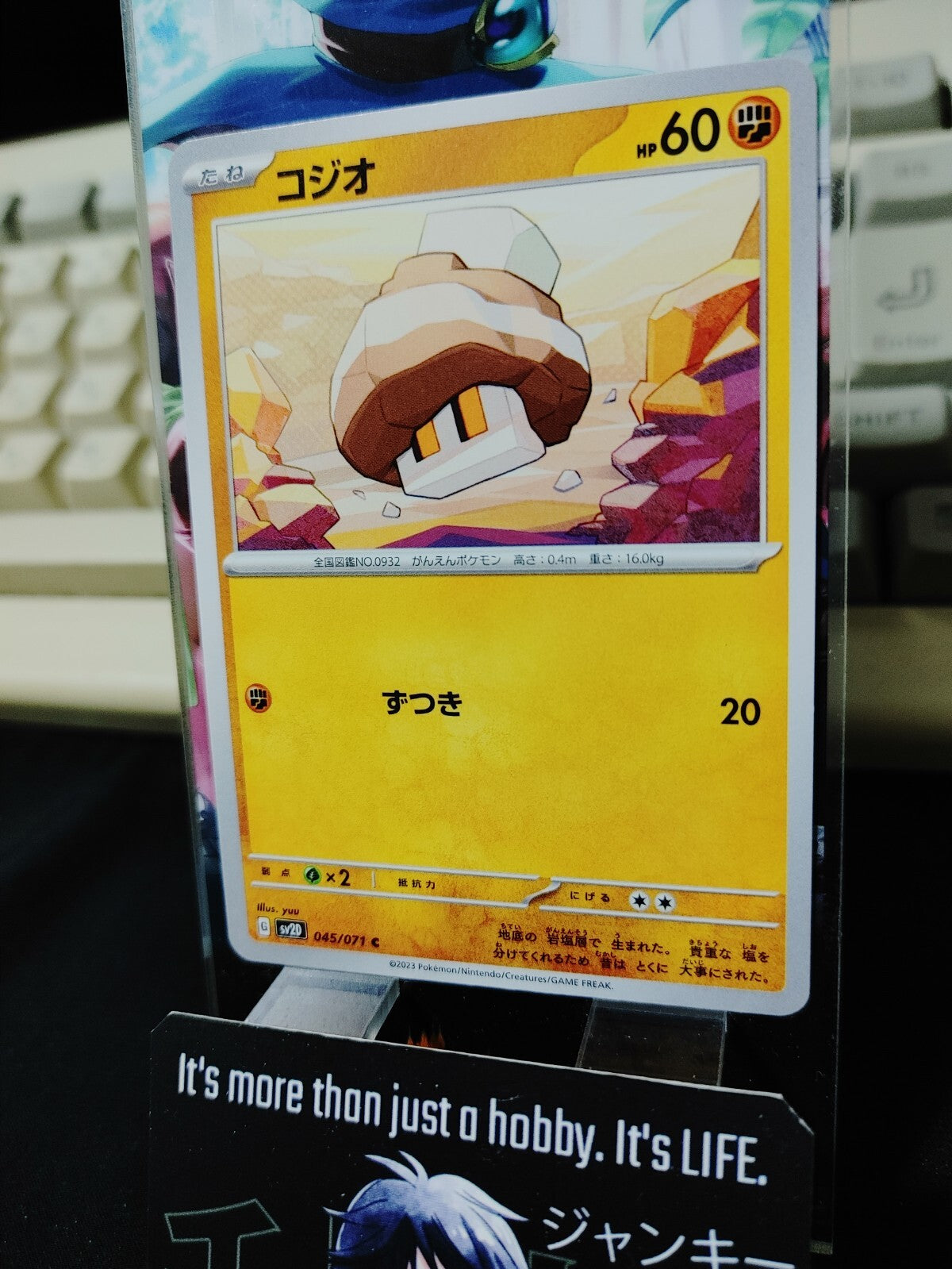 47426304