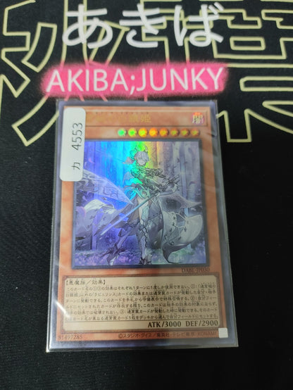47437242