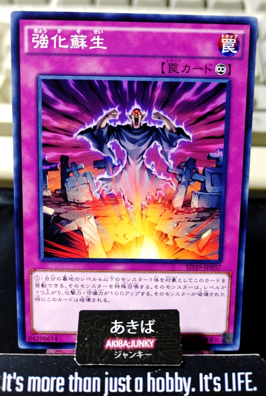 Powerful Rebirth Yugioh SD29-JP037 Yu-Gi-Oh Konami OCG JAPAN