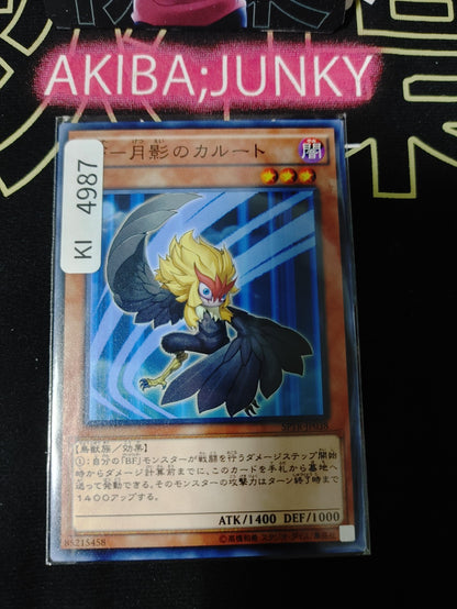 Blackwing - Kalut the Moon Shadow Yugioh SPTR-JP038 Yu-Gi-Oh Konami OCG JAPAN