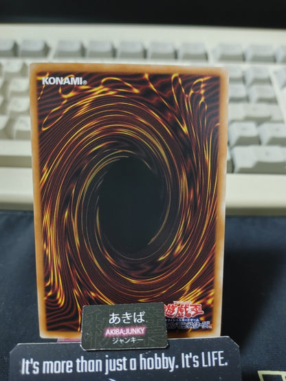 Gandora-G the Dragon of Destruction Yugioh YAC1-JP030 Super Rare OCG JAPAN