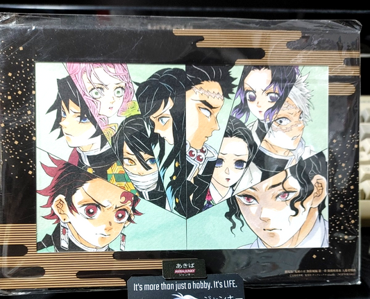 Demon Slayer Mitsuri Kanroji Giyu Hashira Animation Manga Display B Japan Promo
