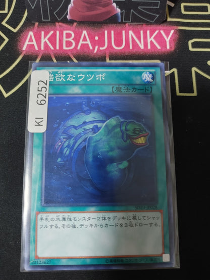 Moray of Greed Yugioh SD23-JP028 Konami OCG JAPAN