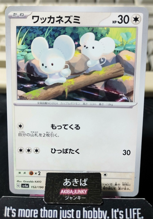 Pokemon Tandemaus SV4A 152/190 Card Japanese JAPAN