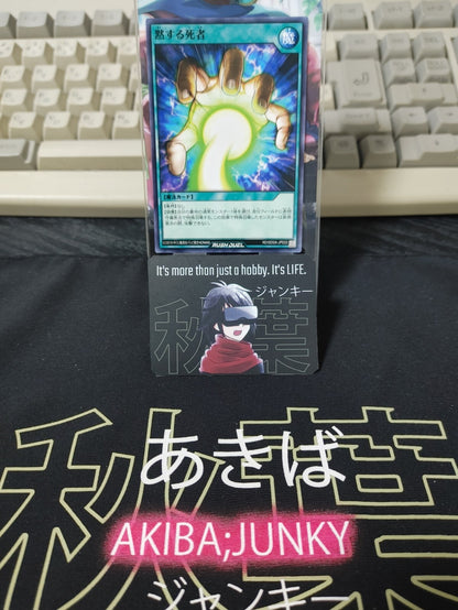 47432025