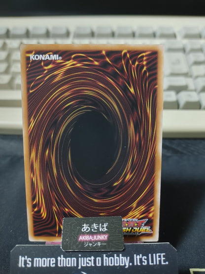 Harpie Regina Splendid Armor Yugioh RD/CA01-JP064 Super Parallel Rare Rush JAPAN
