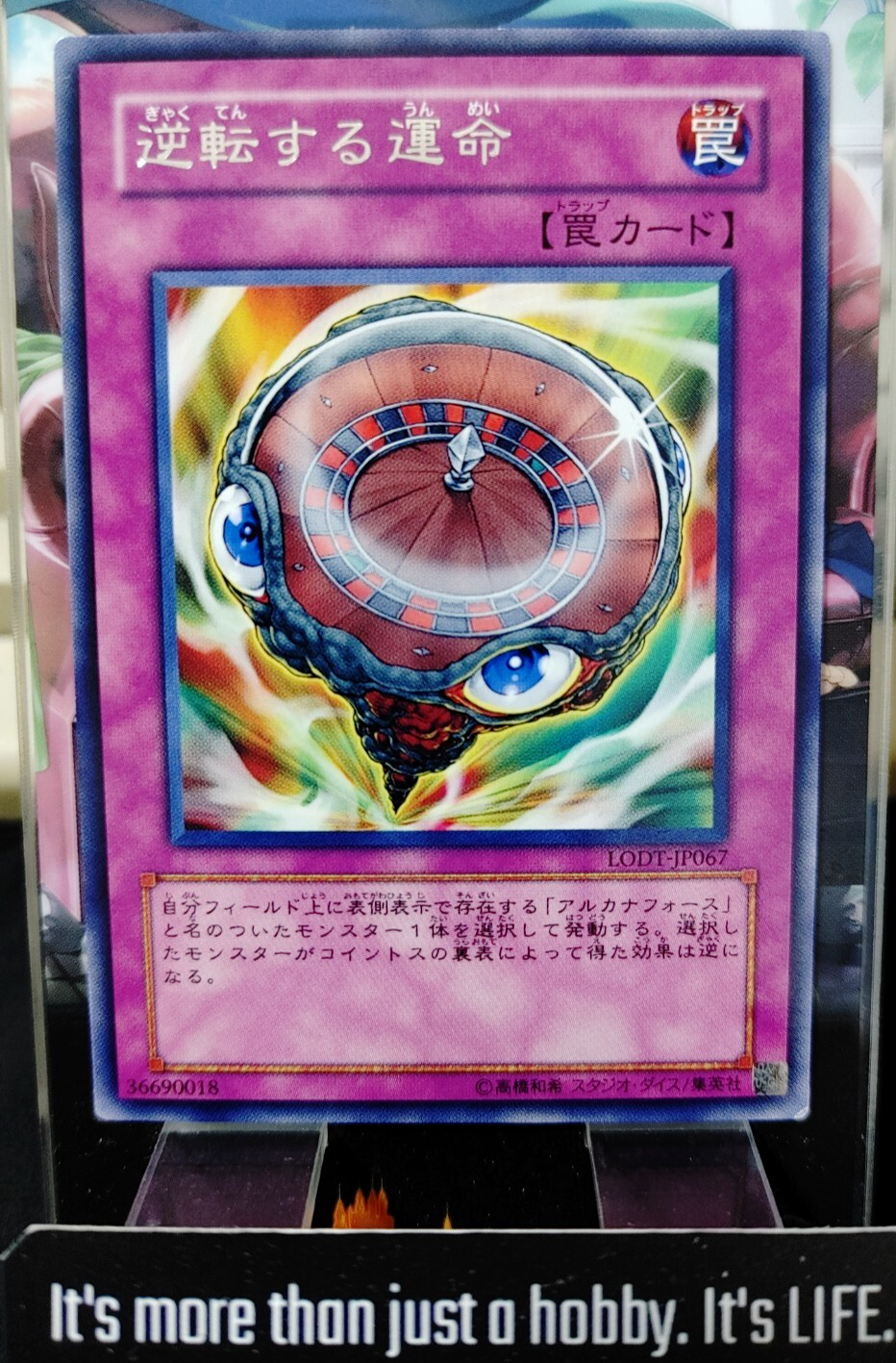 47436242