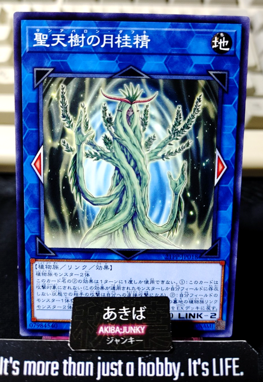 Sunavalon Daphne Yugioh 21PP-JP018 Yu-Gi-Oh Konami OCG JAPAN